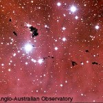 Glóbulos de Bok (áreas escuras) em IC 2944